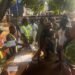 Ekiti 2026: Low Voter Turnout in Ilawe-Ekiti as BVAS Challenge Hits Ado-Ekiti Polling Unit