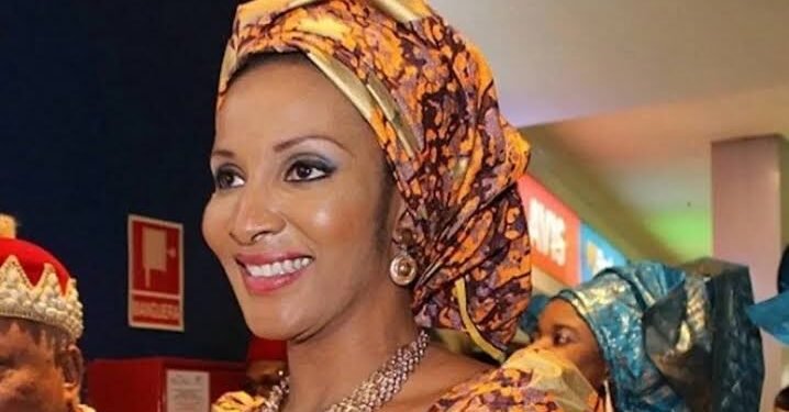 Nigeria May Review Operations of South African Firms over Xenophobia, Says Odumegwu-Ojukwu