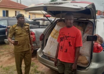 Edo NDLEA Arrests 29 Females, 20 Males Suspected Drug Traffickers, Promotes 73 Officers