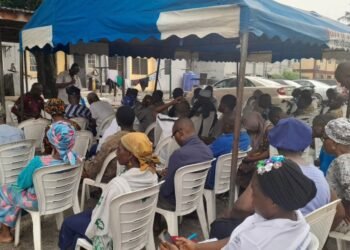 Civic Advocate Oluyomi Awolowo Briefly Detained During Economic Reform Gathering in Lagos