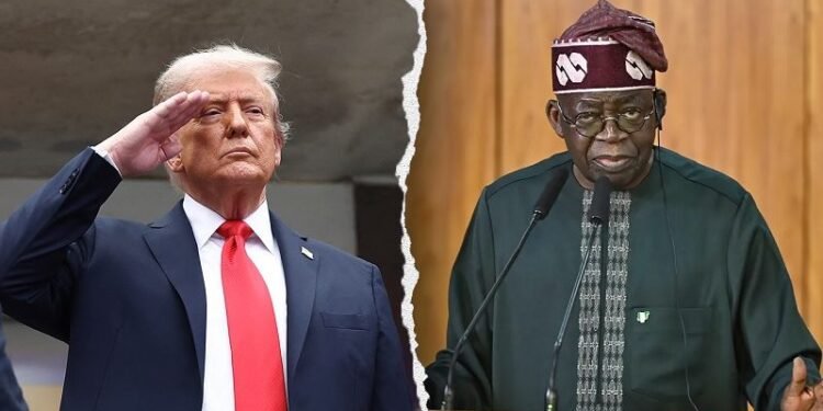 Trump Praises ‘Tinubu’s Decisive Leadership against Terrorists’