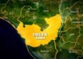 VIO Officer Crushed to Death after Climbing Moving Truck in Delta