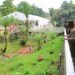Flood: Wike Orders Demolition of Houses Built on Waterways in Abuja