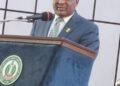 Okafor, AANI President, Canvasses Secure Environment to Unlock Nigeria’s Orange Economy Potential