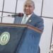 Okafor, AANI President, Canvasses Secure Environment to Unlock Nigeria’s Orange Economy Potential