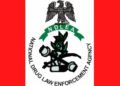 NDLEA Raids 6 Drug Joints in Kano, Arrests 15 Suspects