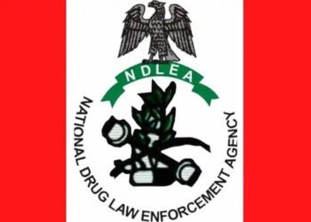 NDLEA Raids 6 Drug Joints in Kano, Arrests 15 Suspects 