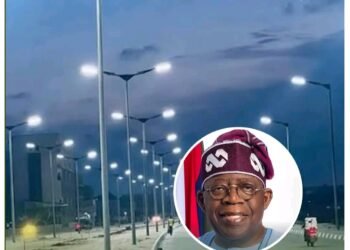 [OPINION] Why Lagos-Calabar Coastal Highway, an Insight By Eric Teniola