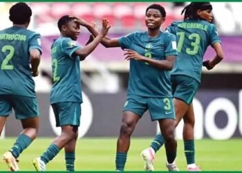 Falconets