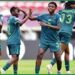 Falconets