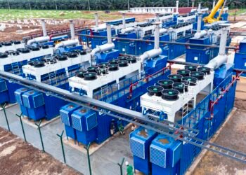 [INSIGHT] Edo Power: Lies Cannot Hide the Truth