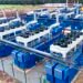 [INSIGHT] Edo Power: Lies Cannot Hide the Truth
