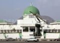 N’Assembly: Crisis in Opposition Camp as Agbese Accuses Kingibe of Scare Mongering over Fuel Tax Claim