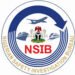 Plane Crash: NSIB Ready to Assist Nigerian Air Force